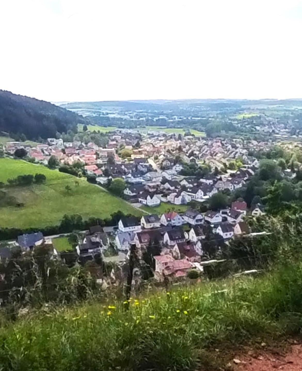 My Am Dissenhorn Rottweil